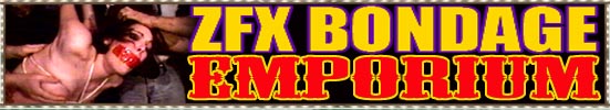 ZFX Clip Store Banner