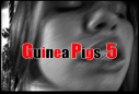 Guinea Pigs 5