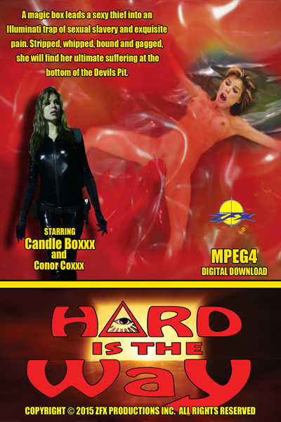 ZFX Movie Hard is the Way front cover